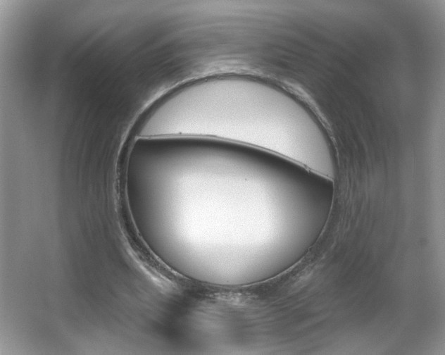 X0000067330439200603310902