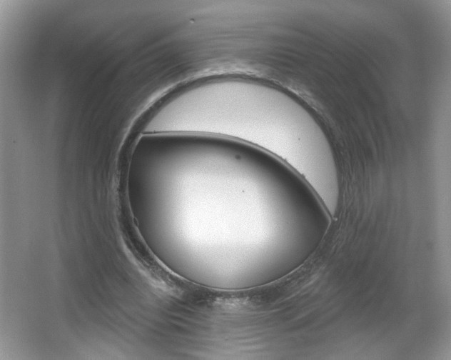 X0000067330440200603310903