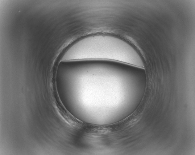 X0000067330443200603310903