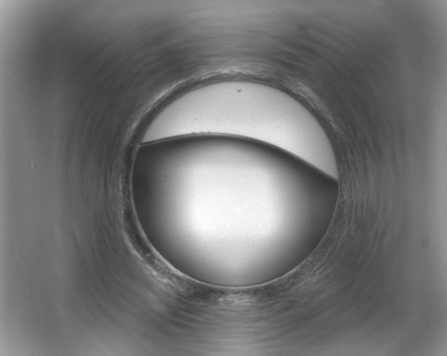 X0000067330444200603310903
