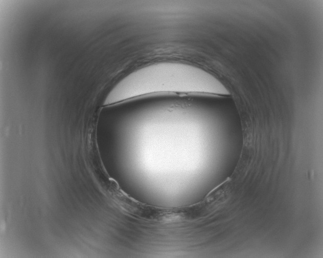 X0000067330456200603310903