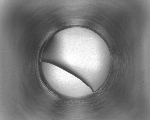 X0000067330482200603310902
