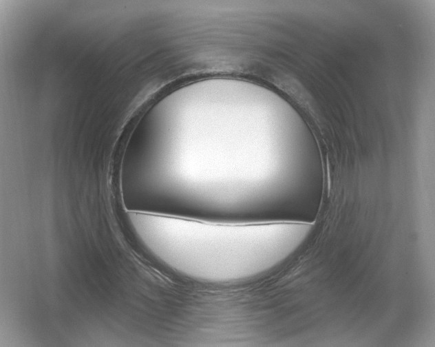 X0000067330483200603310902