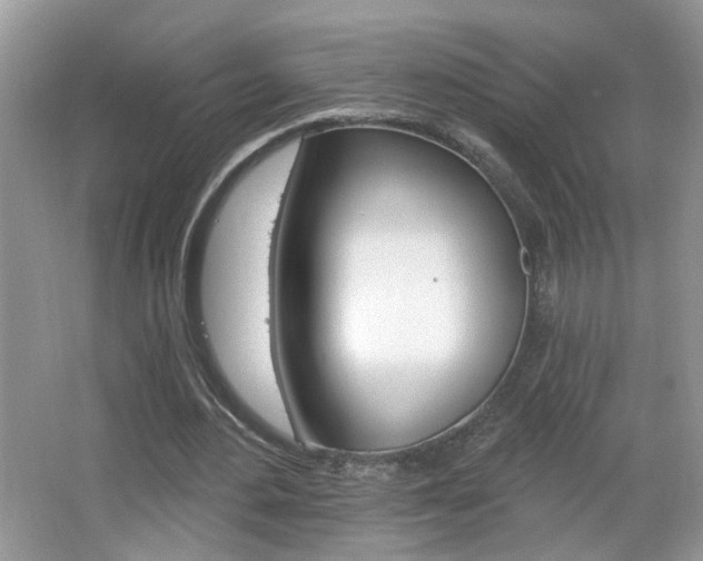 X0000067330484200603310902