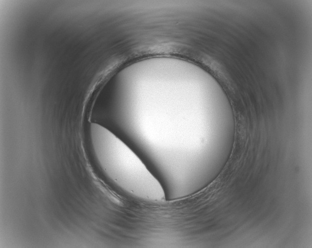 X0000067330486200603310902