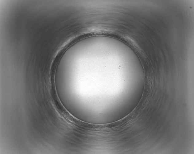 X0000067330488200603310902