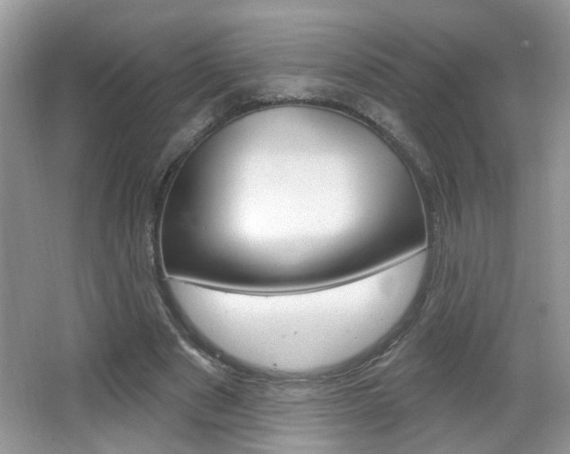 X0000067330489200603310902