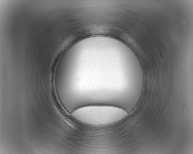 X0000067330490200603310902