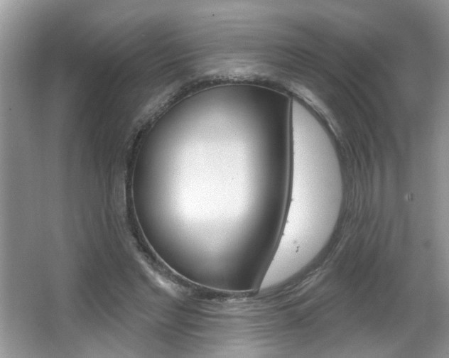 X0000067330493200603310902