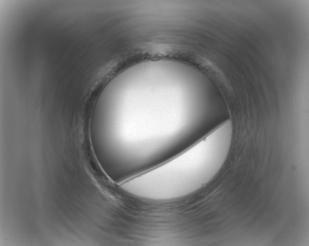 X0000067330496200603310902