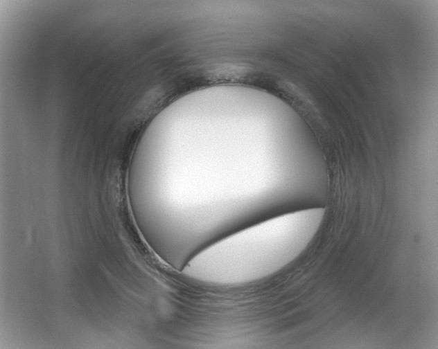 X0000067330498200603310902