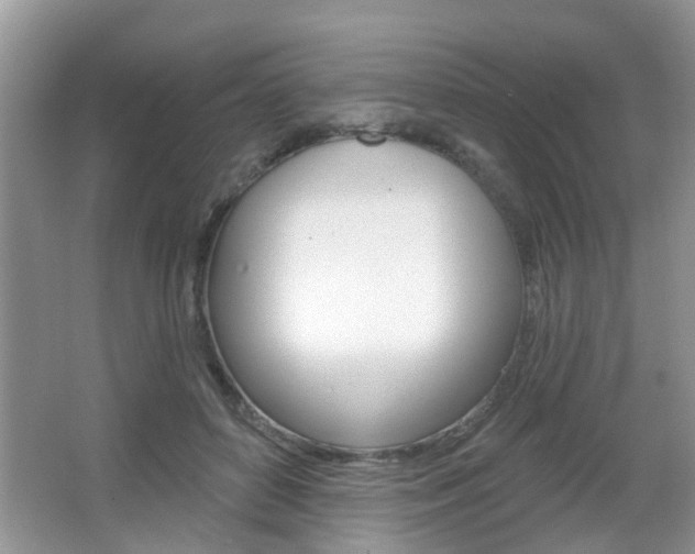 X0000067330504200603310902