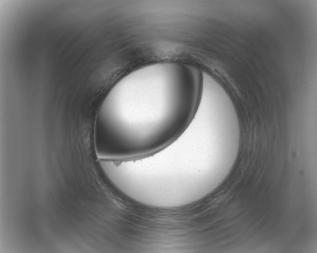 X0000067330505200603310902