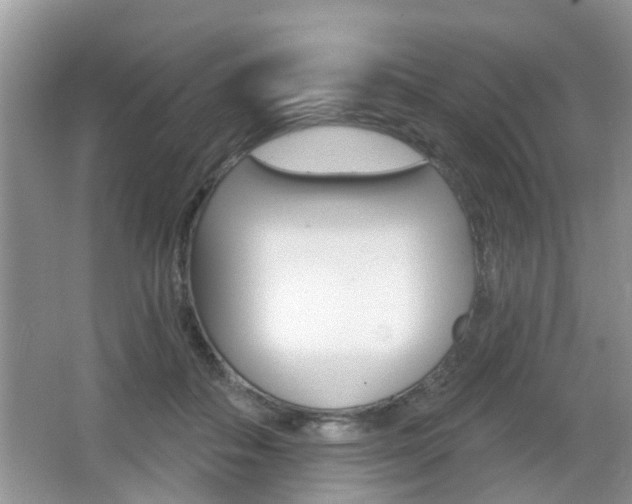 X0000067330506200603310902