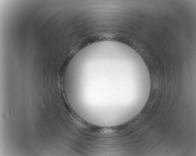 X0000067330518200603310902