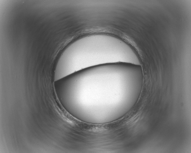 X0000067330537200603310901