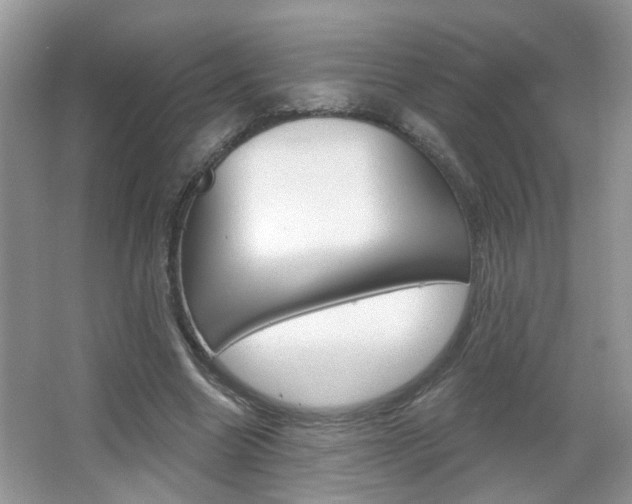 X0000067330538200603310901