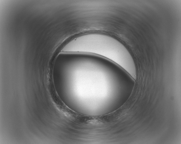 X0000067330544200603310901