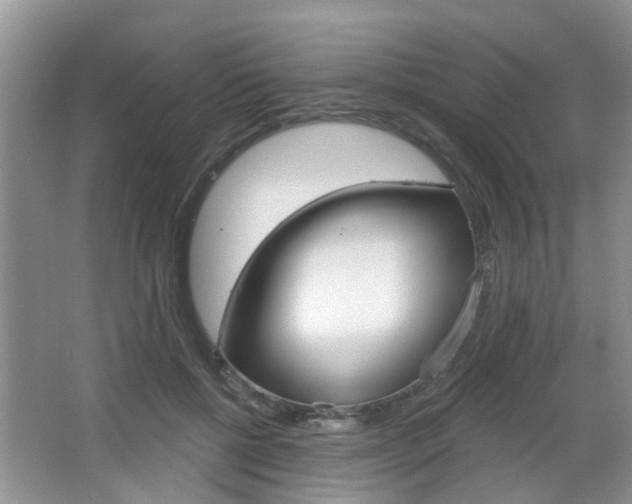 X0000067330552200603310901