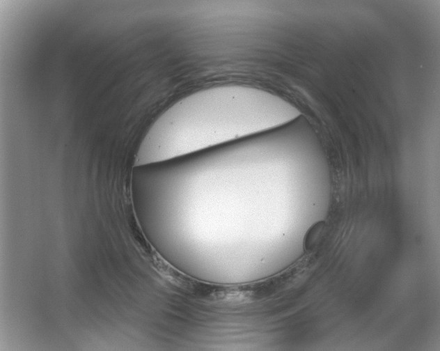 X0000067330553200603310901