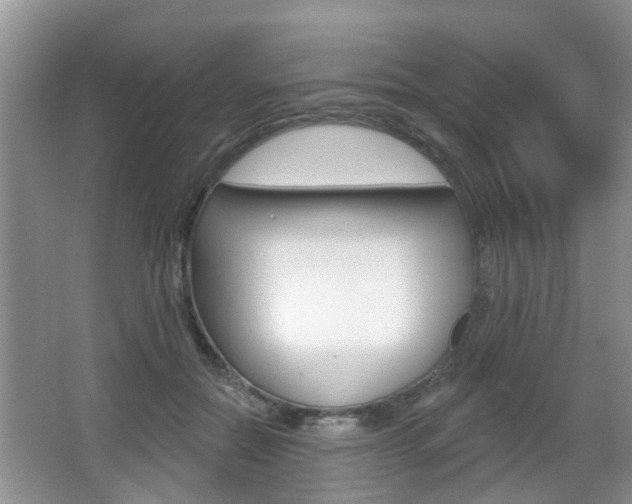 X0000067330554200603310901