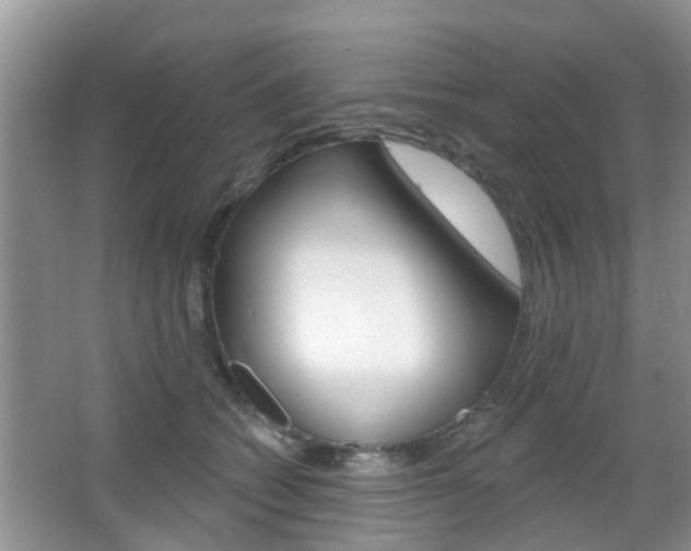X0000067330562200603310901