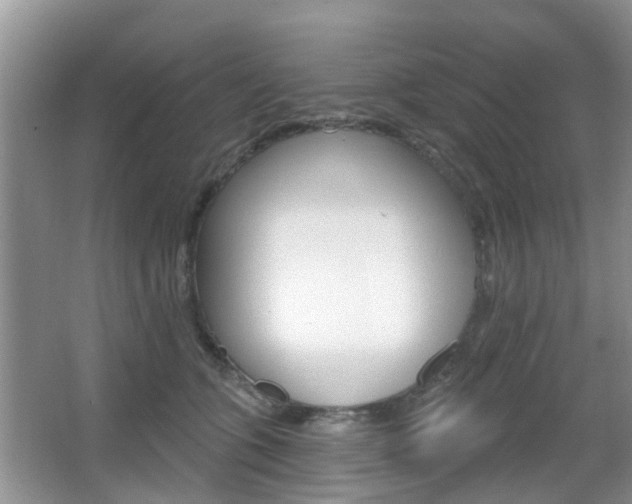 X0000067330563200603310901