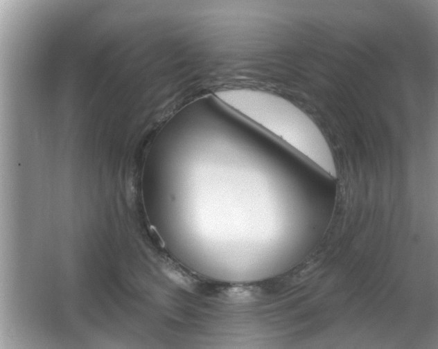 X0000067330566200603310901