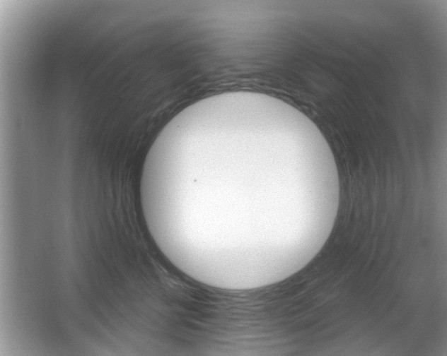 X0000067330570200603310901