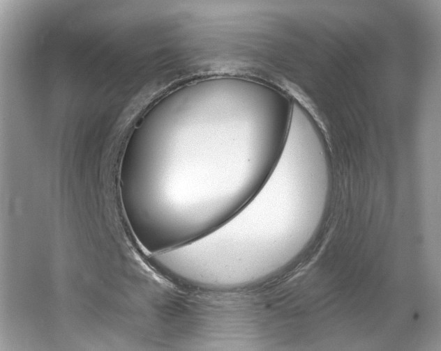 X0000067330577200603310901