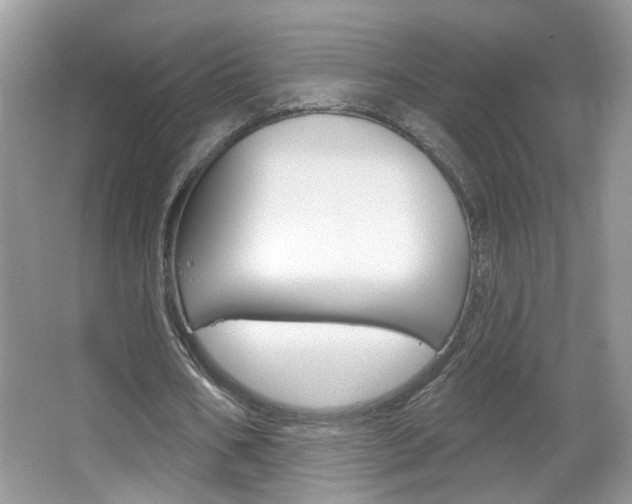 X0000067330578200603310901