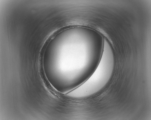 X0000067330580200603310901