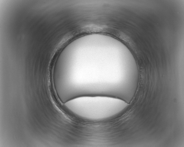 X0000067330582200603310901