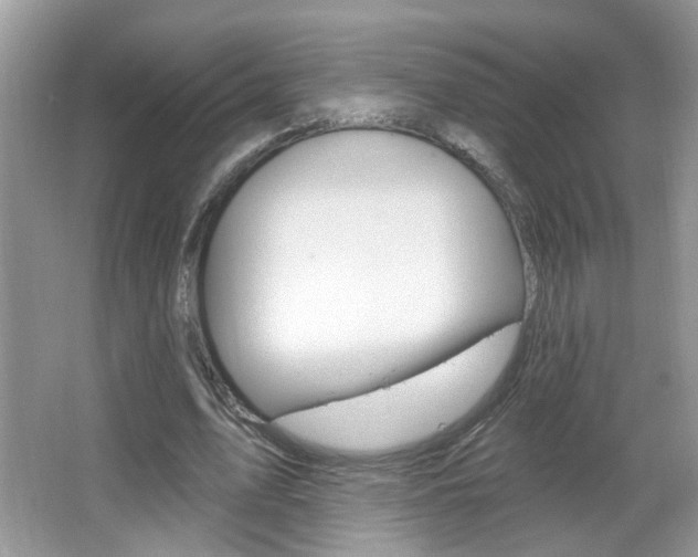 X0000067330583200603310901