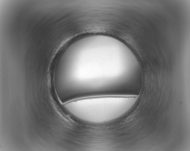 X0000067330584200603310901