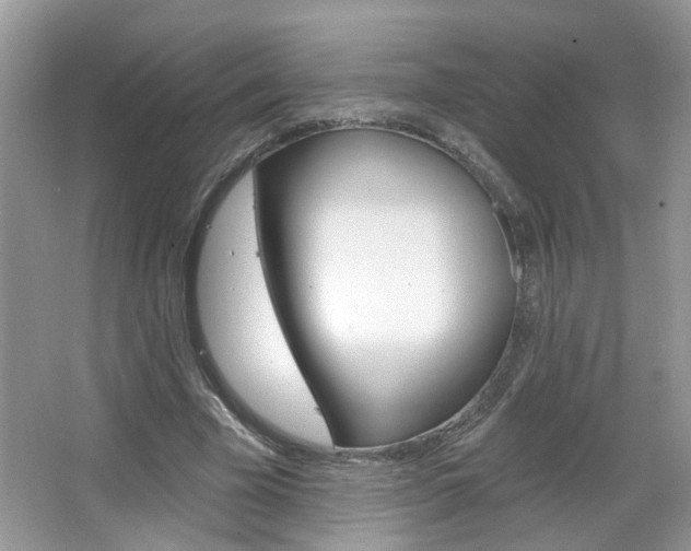 X0000067330585200603310901