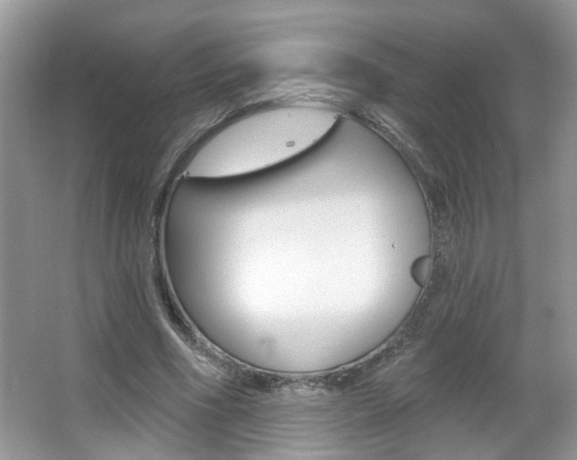 X0000067330586200603310901