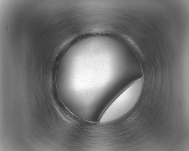 X0000067330588200603310901