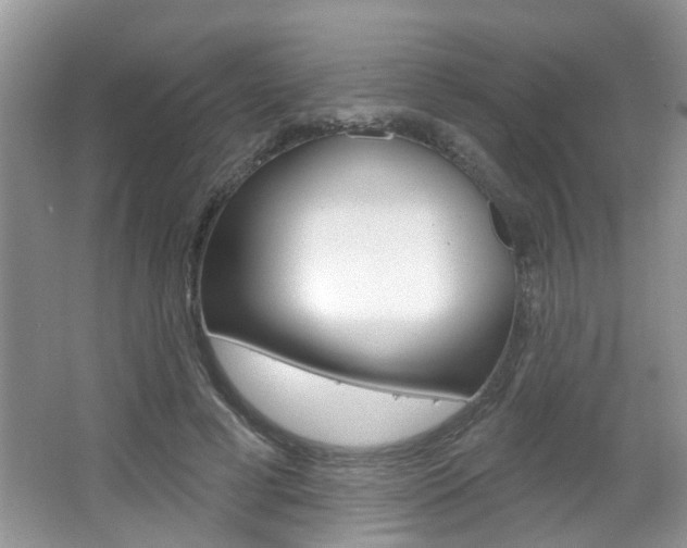 X0000067330593200603310900