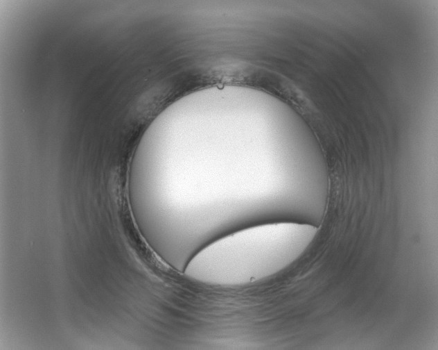 X0000067330594200603310900