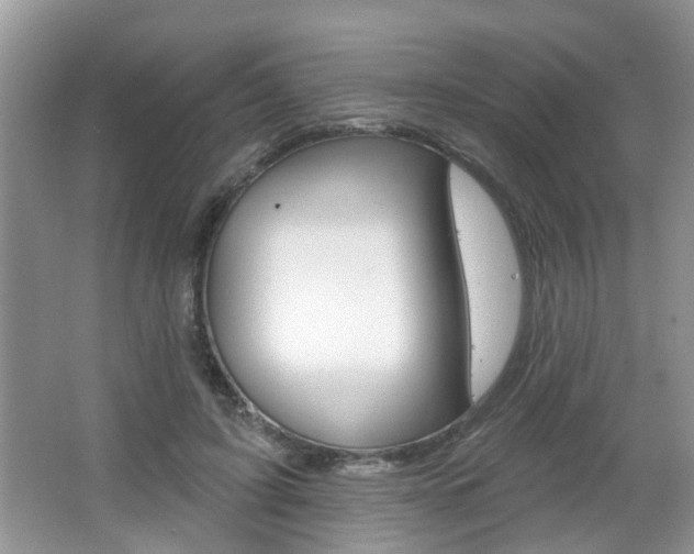 X0000067330595200603310900