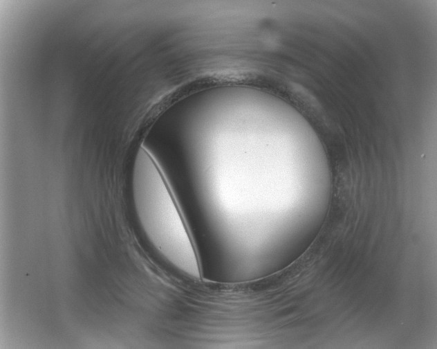 X0000067330596200603310900