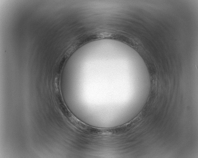 X0000067330598200603310900