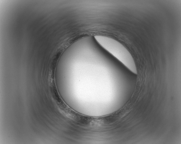 X0000067330599200603310900