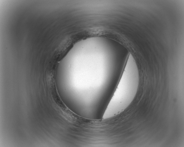 X0000067330601200603310900