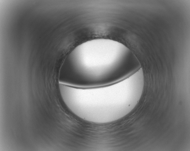 X0000067330608200603310900