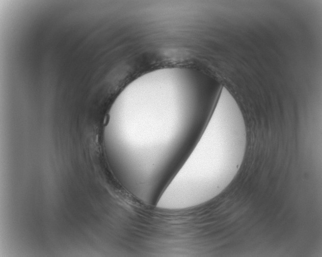 X0000067330615200603310900