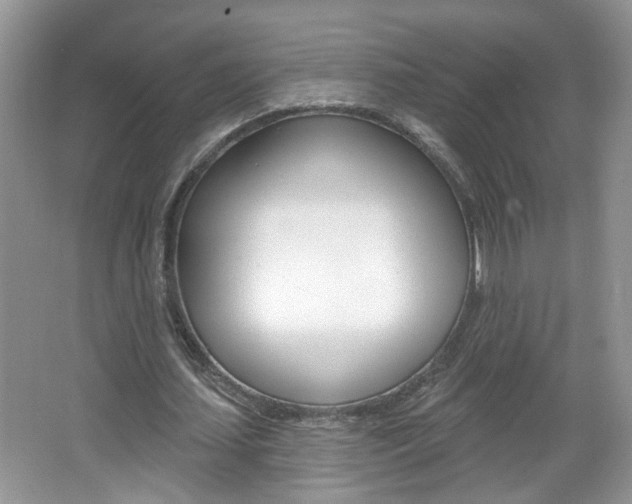 X0000067330627200603310859
