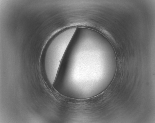 X0000067330628200603310859