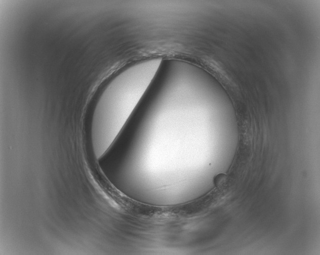 X0000067330634200603310859